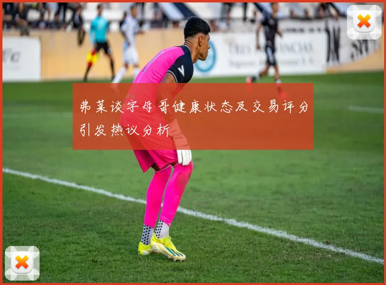 弗莱谈字母哥健康状态及交易评分引发热议分析