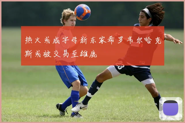 热火或成字母新东家希罗韦尔哈克斯或被交易至雄鹿