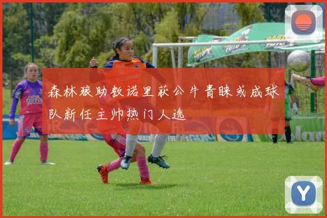 森林狼助教诺里获公牛青睐或成球队新任主帅热门人选