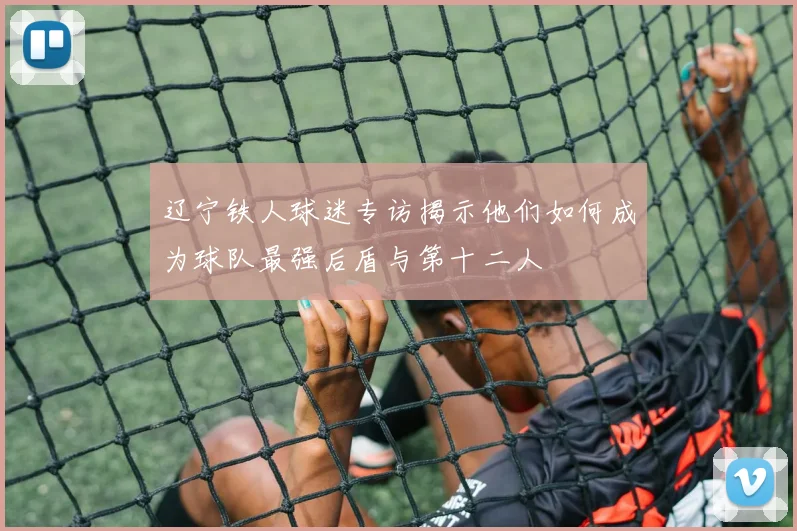 辽宁铁人球迷专访揭示他们如何成为球队最强后盾与第十二人