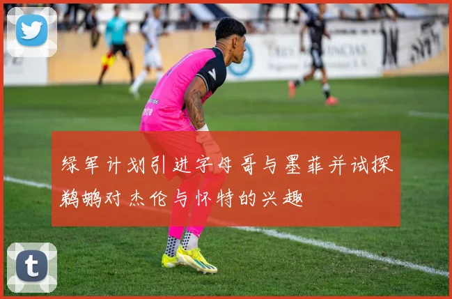 绿军计划引进字母哥与墨菲并试探鹈鹕对杰伦与怀特的兴趣